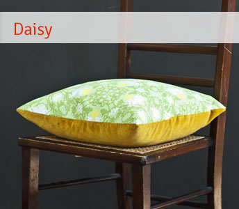 cushion cwt daisy